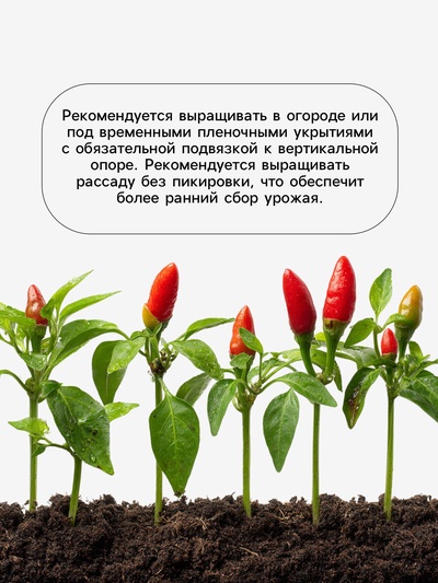 Семена Перец «Подарок Молдовы», 0.15 г, «Агросс»
