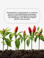 Семена Перец «Факир», 0.15 г, «Агросс»  (артикул 10944218)  большой выбор товаров оптом и в розницу по низким ценам с доставкой