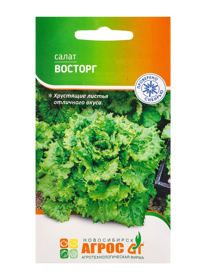 Семена Салат "Восторг" 0,3 г - Фото 1