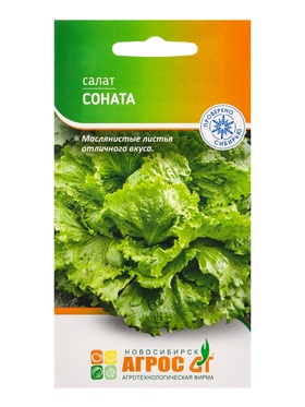 Семена Салат 