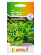 Семена Салат "Кучерявец одесский" 0,3 г (комплект 4 шт) - фото 60872058