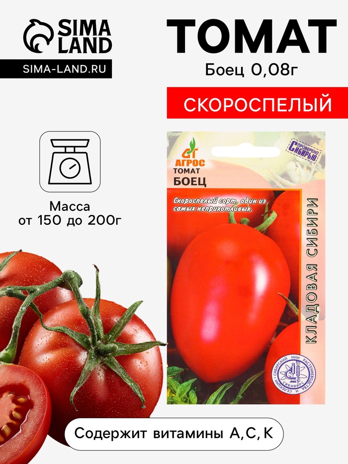 Семена Томат «Боец», 0.08 г, «Агросс» - Фото 1