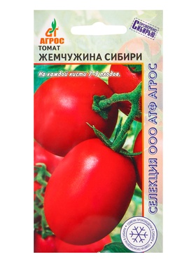 Семена Томат "Жемчужина Сибири" 0,08 г (комплект 2 шт)