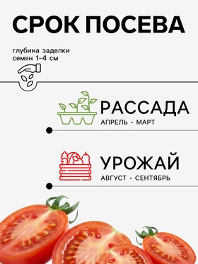 Семена Томат «Снежана», 0.08 г, «Агросс» (комплект 3 шт)