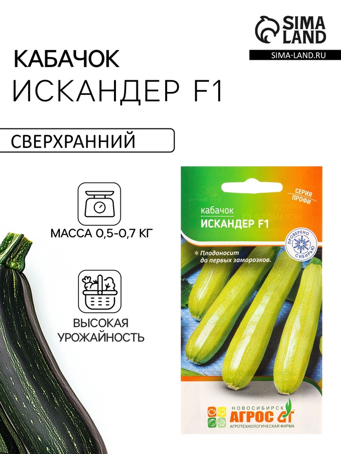 Семена Кабачок Искандер F1 5 шт