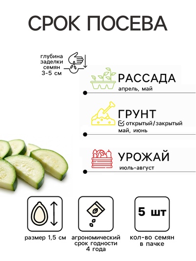 Семена Кабачок «Цубода», 5 шт., «Агрос»