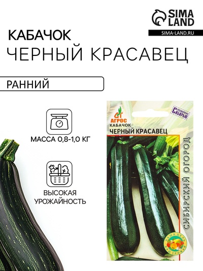 Семена Кабачок «Чёрный красавец», 6 шт., «Агрос»