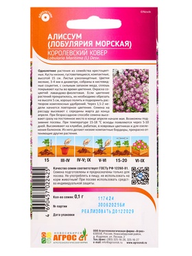 Семена Алиссум «Королевский ковер», 0.1 г, «Агросс» (комплект 4 шт)