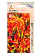 Семена Амарант трехцветный Иллюминация 30 шт (комплект 4 шт) - фото 60872152