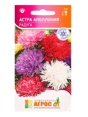 Семена Астра «Аполлония Радуга», 0.3 г, «Агросс» (комплект 3 шт)
