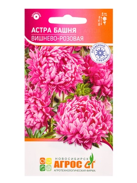 Семена Астра «Вишнево-Розовая Башня», 0.3 г, «Агросс» (комплект 3 шт)