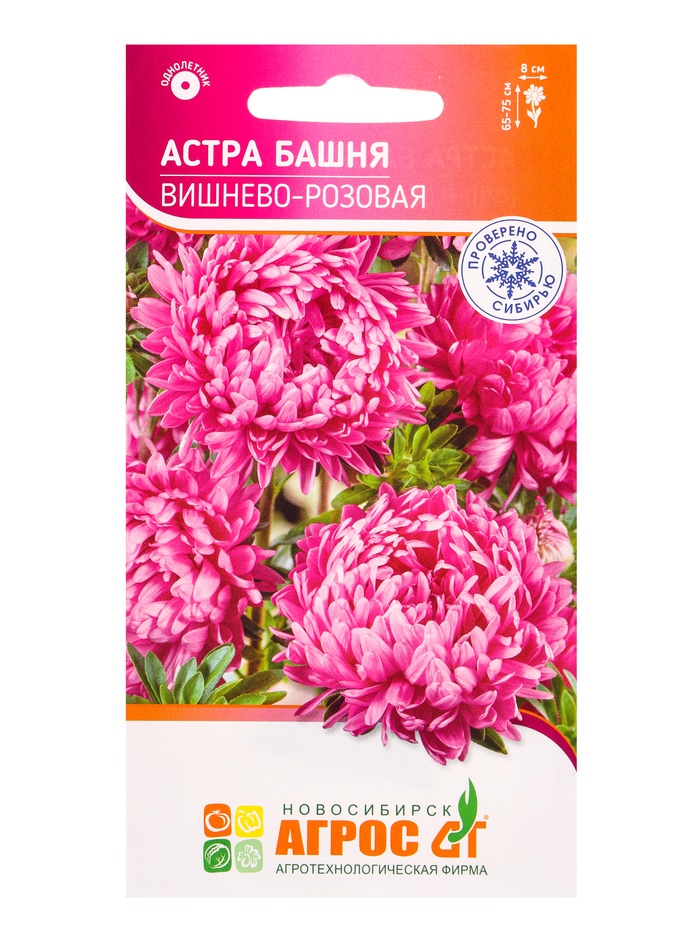 Семена Астра «Вишнево-Розовая Башня», 0.3 г, «Агросс» - Фото 1