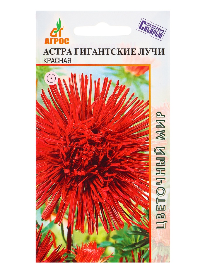 Семена Астра «Гигантские Лучи», красная, 0.3 г, «Агросс» - Фото 1
