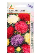 Семена Астра «Гремлин», радуга, 0.3 г, «Агросс» (комплект 4 шт) - фото 60872172