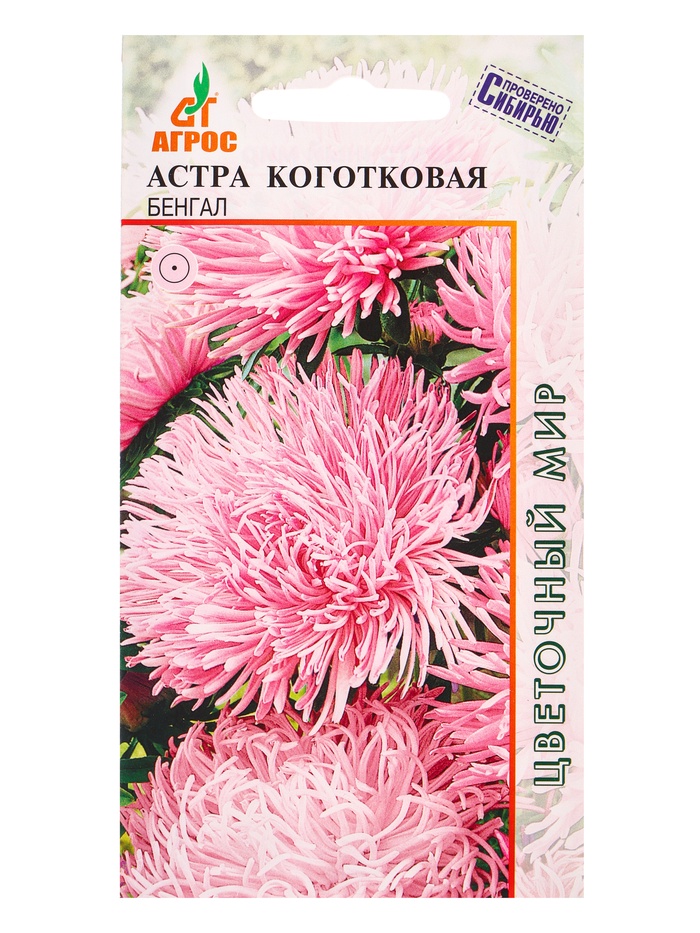 Семена Астра «Коготковая Бенгал», 0.3 г, «Агросс» - Фото 1