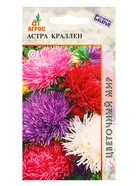 Семена Астра «Краллен», 0.3 г, «Агросс» (комплект 4 шт) - фото 60872182