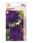 Семена Астра Харц «Парсифаль», 0.3 г, «Агросс» (комплект 4 шт) - фото 60872188