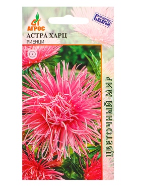 Семена Астра Харц «Риенци», 0.3 г, «Агросс» (комплект 4 шт)