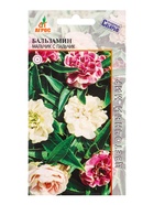 Семена Бальзамин Мальчик с пальчик 0,1 г - Фото 1