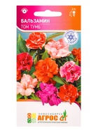 Семена Бальзамин Том Тумб 0,1 г (комплект 5 шт) - фото 60872194