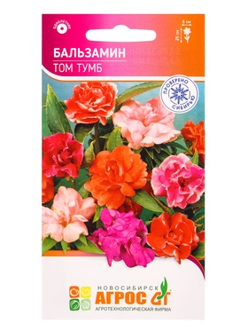 Семена Бальзамин Том Тумб 0,1 г (комплект 5 шт)