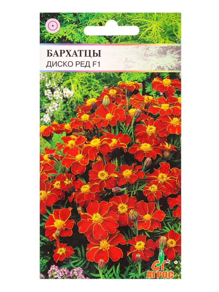 Семена цветов Бархатцы «Диско Ред», 15 шт., «Агрос» - Фото 1