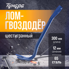 Лом-гвоздодер ТУНДРА, 65 сталь, шестигранный, 300 х 12 мм - Фото 1