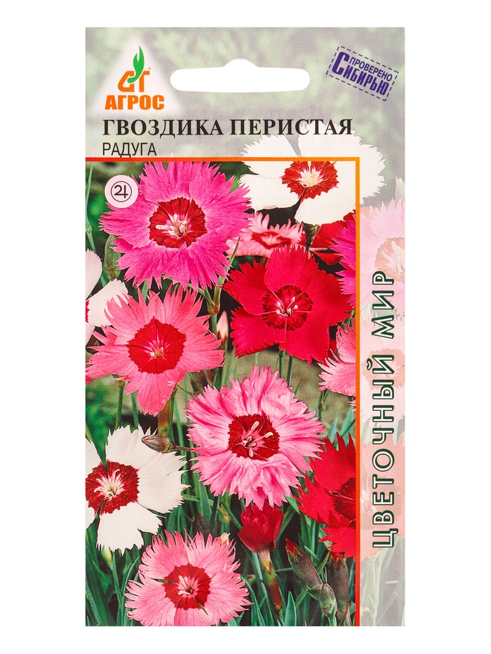 Семена Гвоздика «Перистая - Радуга», 0.1 г, «Агросс» - Фото 1