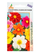 Семена Георгина «Радуга», 0.2 г, «Агросс» (комплект 4 шт) - фото 60872248