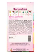 Семена Георгина «Радуга», 0.2 г, «Агросс» (комплект 4 шт) - фото 60872249
