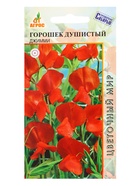 Семена Горошек душистый Джимми 1 г (комплект 2 шт) - фото 60872250