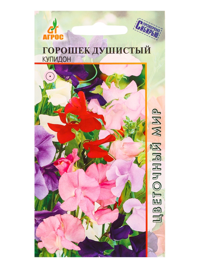 Семена Горошек душистый Купидон 0,5 г - Фото 1
