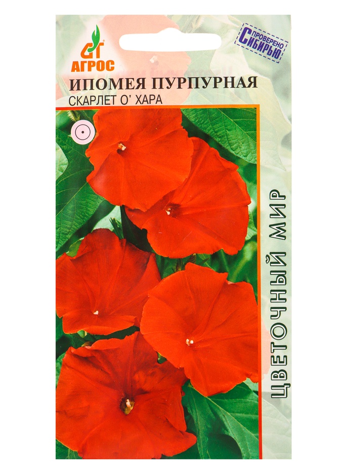 Семена Ипомея пурпурная 