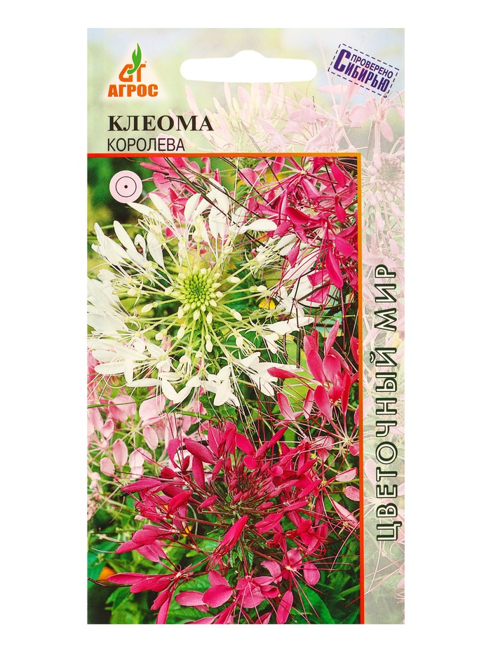 Семена цветов Клеома колючая «Королева» 0.2 г, «Агрос» - Фото 1