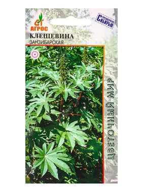 Семена Клещевина 