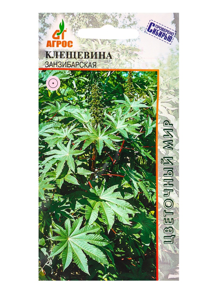 Семена Клещевина 