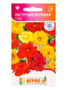 Семена Настурция Большая Глим 1 г (комплект 3 шт) - фото 60872312