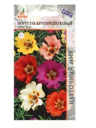 Семена Портулак крупноцветковый, простой, 0.1 г, «Агросс» - Фото 3