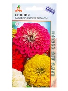 Семена Цинния Изящная "Калифорнийские гиганты" 0,5 г (комплект 3 шт) - фото 60872344