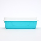 УЦЕНКА Туалет с бортом и сеткой, 45×34×15 см, белый/бирюзовый - Фото 4