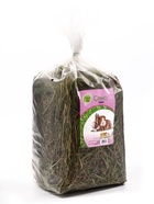 Сено луговое «Зверьё Моё», отборное, ароматное, зеленое, без пыли, 500 г - Фото 1