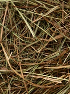 Сено луговое «Зверьё Моё», отборное, ароматное, зеленое, без пыли, 500 г - Фото 2