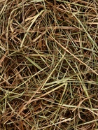 Сено луговое «Зверьё Моё», отборное, ароматное, зеленое, без пыли, крапива, 500 г - Фото 2