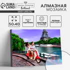 УЦЕНКА Алмазная вышивка с полным заполнением «Приключения в Париже» 40×50 см, на раме - Фото 1