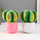 УЦЕНКА Растущий подарок травка Экоживчик «Кактус Астрофитум» МИКС 10956913