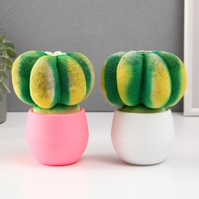 {{photo.Alt || photo.Description || 'УЦЕНКА Растущий подарок травка Экоживчик «Кактус Астрофитум» МИКС'}}