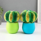 УЦЕНКА Растущий подарок травка Экоживчик «Кактус Астрофитум» МИКС 10956913