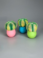 УЦЕНКА Растущий подарок травка Экоживчик «Кактус Астрофитум» МИКС 10956913