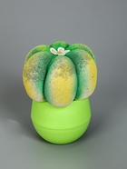 УЦЕНКА Растущий подарок травка Экоживчик «Кактус Астрофитум» МИКС 10956913