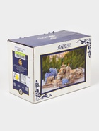 УЦЕНКА Сервиз чайный 22 предмета ф.356 елена «Симфония» - Фото 15